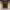 https://res.cloudinary.com/billionhands/image/upload/v1777020872/items/yinvozuoc1aynf9a6kdw.jpg-0cover
