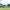 Madras Gymkhana Golf Club (Chennai, Tamil Nadu) cover
