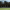 Bangalore Golf Club (Bengaluru, Karnataka) cover