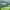 https://res.cloudinary.com/billionhands/image/upload/v1777021292/items/xekvm7vub2uitgw8lizw.jpg-3cover