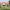 https://res.cloudinary.com/billionhands/image/upload/v1777021293/items/rt6qp6o3sskxtlk2tbrn.jpg-1cover