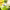 https://res.cloudinary.com/billionhands/image/upload/v1777024547/items/n9og1r9tj0meljrmlumk.jpg-0cover