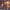 https://res.cloudinary.com/billionhands/image/upload/v1777025199/items/piv1n3upmvwszlxmgfdi.jpg-3cover