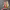 https://res.cloudinary.com/billionhands/image/upload/v1777026131/items/pgayf1tvneeqye3nxxqx.jpg-0cover