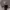 https://res.cloudinary.com/billionhands/image/upload/v1777026152/items/p4fu9fnsurtcjzc7t4jo.webp-3cover