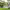 https://res.cloudinary.com/billionhands/image/upload/v1777026568/items/gsvzesvi8j0z7v8rpvxs.jpg-3cover