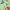 https://res.cloudinary.com/billionhands/image/upload/v1777035591/items/hsucke4r8vhu3ko8ihko.jpg-2cover
