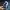 https://res.cloudinary.com/billionhands/image/upload/v1777037020/items/c3nlpwmwd2cxgdjgezag.jpg-2cover