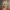 https://res.cloudinary.com/billionhands/image/upload/v1777044629/items/kkfbtk1rg0h2iufdasex.webp-3cover