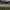 Google WeatherNext 2 (2025) cover