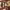 https://res.cloudinary.com/billionhands/image/upload/v1777060419/items/fdx3gqyurkwahnch25wj.webp-3cover