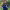 https://res.cloudinary.com/billionhands/image/upload/v1777062929/items/vx36hgae9qhurqy0y0xg.jpg-0cover