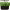 AeroGarden Bounty LED Grow Light cover