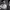 https://res.cloudinary.com/billionhands/image/upload/v1777067285/items/zytl8fn8nho41ffm0zpp.jpg-2cover