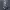https://res.cloudinary.com/billionhands/image/upload/v1777068032/items/r0tha1vmo7ksuioqro6r.jpg-2cover