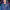 Arturo Valls Mollà cover