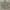 https://res.cloudinary.com/billionhands/image/upload/v1777072558/items/jtyicmba6crrbgzrdqlb.jpg-1cover