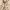https://res.cloudinary.com/billionhands/image/upload/v1777073862/items/oqn8t6w7h9bhbex6diaz.jpg-2cover