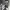 https://res.cloudinary.com/billionhands/image/upload/v1777076786/items/w4rhcbp2auz8ypdiemot.jpg-1cover
