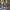 https://res.cloudinary.com/billionhands/image/upload/v1777080901/items/qiq2m3rxvzdt5vppvs5c.jpg-3cover
