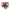 https://res.cloudinary.com/billionhands/image/upload/v1777080902/items/pycltwxthmp84lysekk4.png-2cover