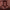 https://res.cloudinary.com/billionhands/image/upload/v1777087378/items/ql65by1jxw2wzpihf6mn.jpg-1cover
