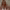 https://res.cloudinary.com/billionhands/image/upload/v1777088114/items/aureyupjuxjrapdubw27.jpg-2cover