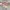 https://res.cloudinary.com/billionhands/image/upload/v1777088914/items/uesbfh15pe2u7xqebmd8.jpg-0cover