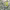 https://res.cloudinary.com/billionhands/image/upload/v1777088917/items/pidfjmyecv3qm1bkserx.jpg-3cover