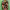 https://res.cloudinary.com/billionhands/image/upload/v1777089249/items/t6llmlubux9wvqfiyrmg.jpg-3cover