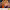 https://res.cloudinary.com/billionhands/image/upload/v1777089718/items/kxpzroinuuxzbdpdbvt0.jpg-0cover
