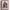 https://res.cloudinary.com/billionhands/image/upload/v1777089721/items/p3qt3edbiadfemvka1pe.webp-3cover