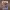 https://res.cloudinary.com/billionhands/image/upload/v1777091400/items/x6jtml4cgkmkzwzms9oa.jpg-3cover