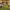 https://res.cloudinary.com/billionhands/image/upload/v1777091934/items/jzez4i0ss6gahxiyvfy8.webp-2cover