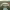 https://res.cloudinary.com/billionhands/image/upload/v1777091963/items/xejhxb36pmnkkpxrl7ci.png-2cover
