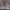 https://res.cloudinary.com/billionhands/image/upload/v1777094401/items/a3ujjyz5bvcsj2gtm1ad.png-0cover