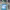 https://res.cloudinary.com/billionhands/image/upload/v1777096534/items/sid48vlxq78yfqfguodp.jpg-3cover