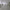 https://res.cloudinary.com/billionhands/image/upload/v1777099160/items/bepjpjux9zixz7v3w2el.webp-2cover