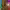 https://res.cloudinary.com/billionhands/image/upload/v1777099160/items/yy7dewtifyqpcasqhphr.jpg-0cover