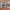 https://res.cloudinary.com/billionhands/image/upload/v1777099161/items/khahwamizjtidxq0fspd.jpg-3cover