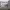 https://res.cloudinary.com/billionhands/image/upload/v1777099161/items/shfa3itpdltffpwect04.webp-1cover