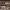 https://res.cloudinary.com/billionhands/image/upload/v1777099164/items/ehnwhr1xlbzxzam452tx.webp-2cover