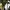 https://res.cloudinary.com/billionhands/image/upload/v1777101038/items/mexwcqpwqqjwzj2mmc9m.jpg-3cover
