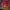 https://res.cloudinary.com/billionhands/image/upload/v1777101743/items/tuzb7kfirhrwuyx7shdh.webp-3cover