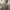 https://res.cloudinary.com/billionhands/image/upload/v1777105227/items/yssc98mdiioljjz8hbwm.webp-0cover
