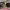 https://res.cloudinary.com/billionhands/image/upload/v1777107996/items/u1ethsreua2qlvocjxig.png-0cover