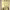 https://res.cloudinary.com/billionhands/image/upload/v1777111498/items/gwzy72nb45b8sqauupfw.jpg-0cover