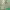 https://res.cloudinary.com/billionhands/image/upload/v1777111664/items/nkwf0byjr430xpvhjyob.jpg-0cover