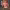 Celebrities with the most influential makeovers cover