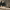 https://res.cloudinary.com/billionhands/image/upload/v1777122905/items/cxfz5crkjhwwouqxgee2.jpg-0cover